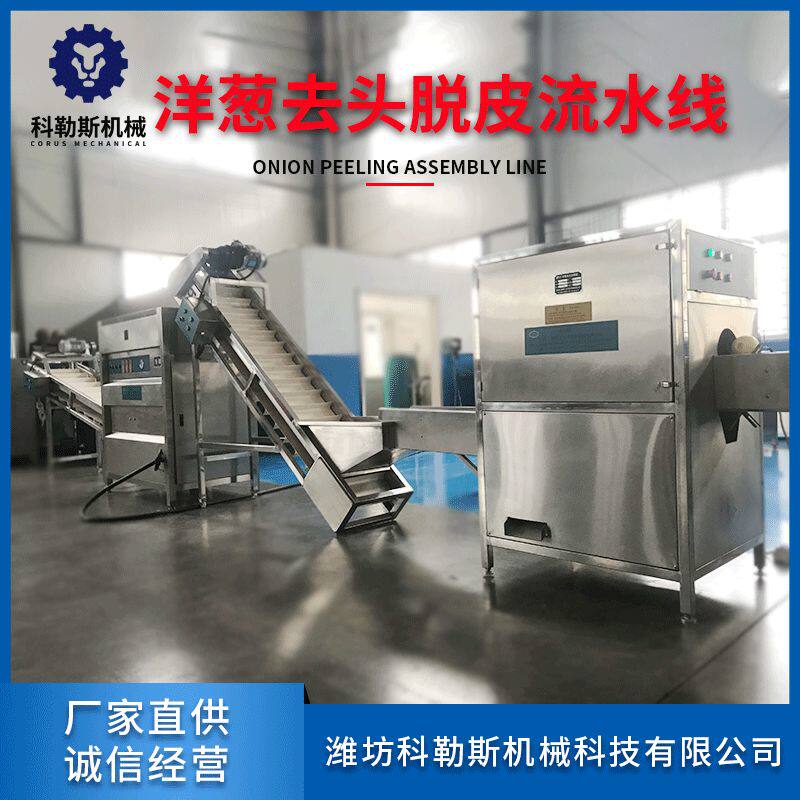 洋葱切根脱皮流水线 厂家直发柠檬切两头设备 洋葱脱皮机