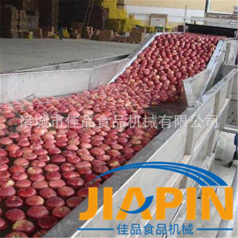 高压喷淋清洗机 生姜全自动浸泡清洗机 不锈钢洗菜机流水线