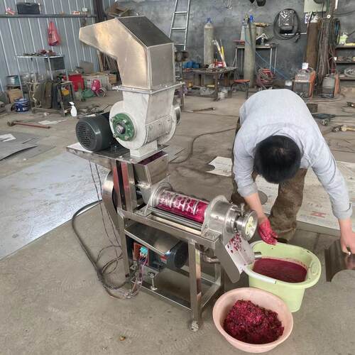 不锈钢苹果梨子西红柿青菜榨汁机 大型浆渣汁分离机 脱水压榨汁机