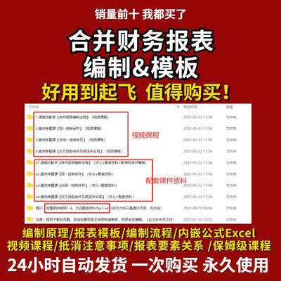 合并财务报表编制解读上市公司普华永道模板集团母子公司财务报表