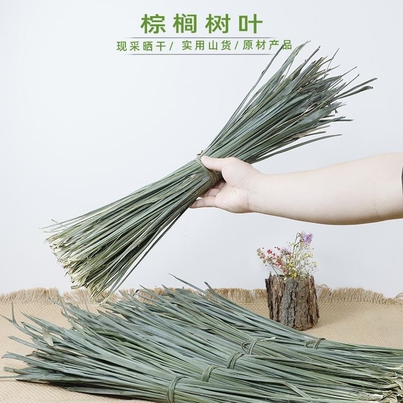 野生棕榈树叶子新鲜采摘传统包粽子捆绑绳手工diy做玩具编织材料