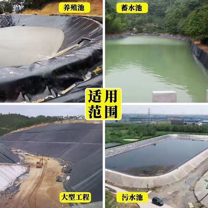 鱼塘土工膜防水防渗膜虾池养殖黑膜护坡沼气防漏防潮膜工程有色膜