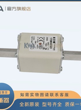 快速熔断器170M3816D 170M3817D 170M3818D 170M3819陶瓷保险丝