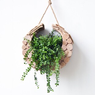 创意壁挂花盆绿植墙上插花瓶高级感墙面装饰轻奢客厅X餐厅挂件盆