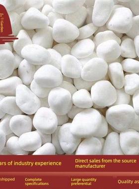 白色鹅卵石庭院铺装天然庭院阳台景观美化盆栽鱼缸景观美化白色石