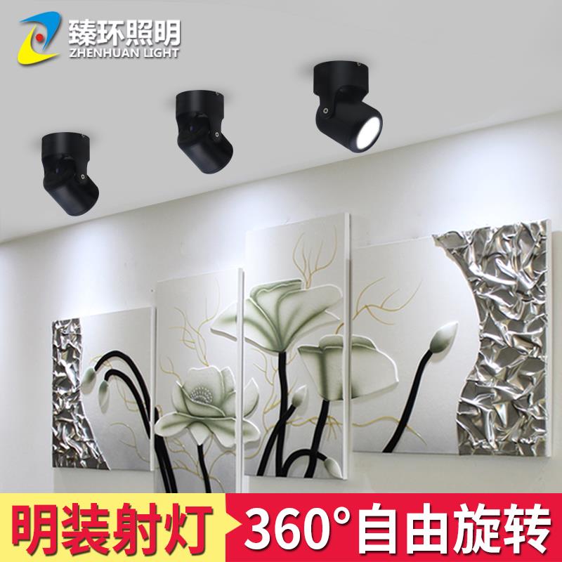 明装led射灯北欧电视背景墙照画家用客厅创意万向吸顶天花COB筒灯
