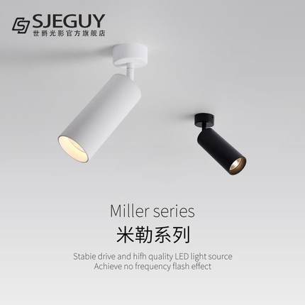 led明装射灯可调角度单个创意家用背景墙吸顶式聚光照画金色射灯