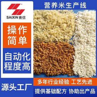 复合挤压人造大米生产线营养强化米生产线 赛信机械营养米生产线