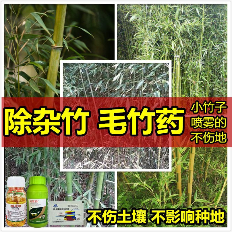 打竹子除草剂杀竹子用什么药毛竹除草剂