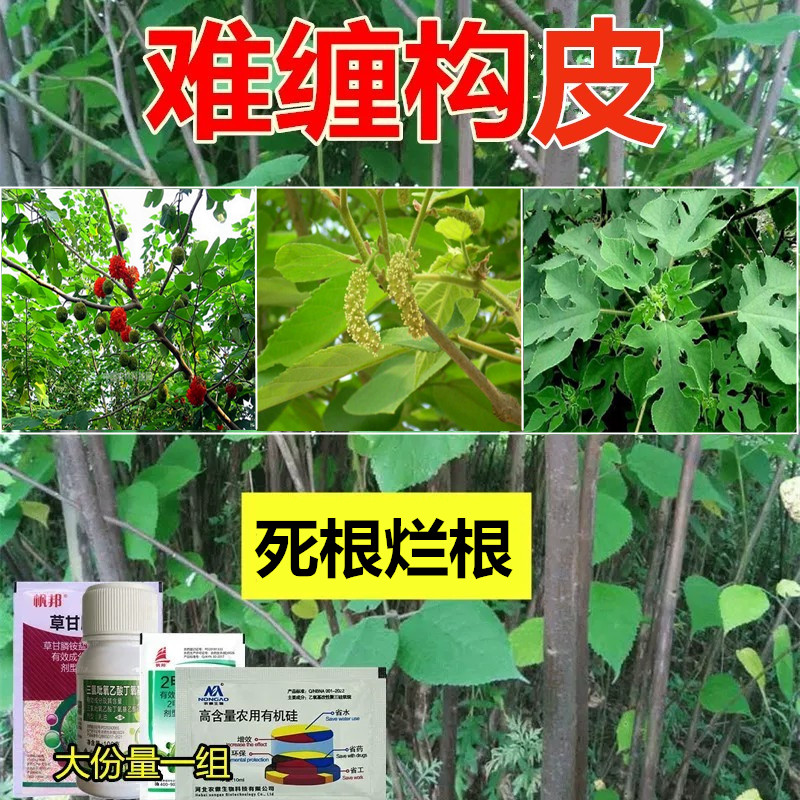 除构烂根药谷皮构桃组合套餐