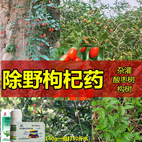 除野枸杞子烂根药杀野酸枣野苟起灌木药除草剂打巨脐枸杞树藤蔓药