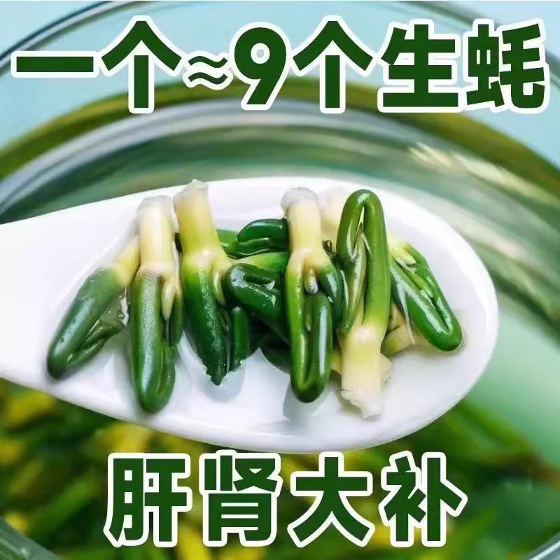 莲子心茶新货正品莲子芯官方旗舰店连子芯茶叶清热去火泡水的功效