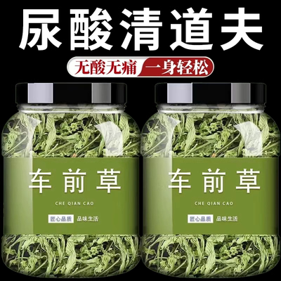 车前草野生袋泡茶正品中药材泡水喝车前草的功效与作用官方旗舰店