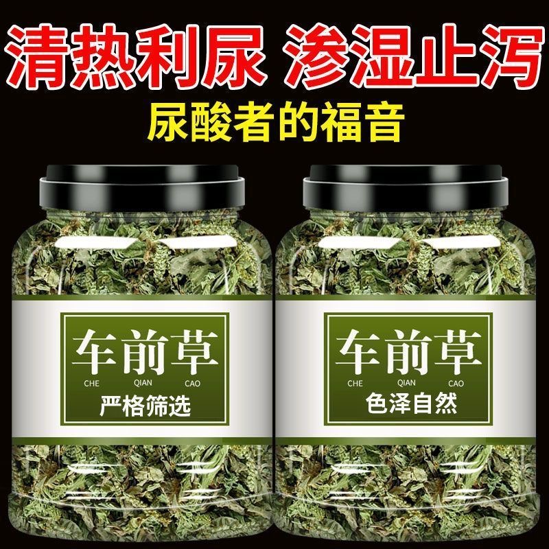 野生车前草泡茶干货新鲜纯天然整株车前草茶尿高酸特级金钱草花茶