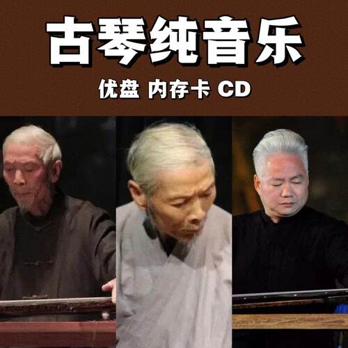 五音疗愈车载古琴纯音乐u盘静心安神茶室庭院纯音乐优盘内存卡CD
