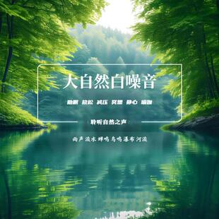 大自然白噪音纯音乐雨声河流鸟鸣蝉鸣助眠放松冥想优盘内存卡CD