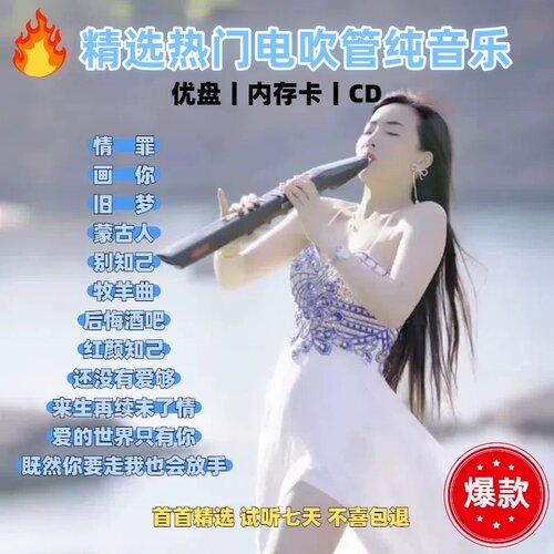 抖音热门同款情罪车载电吹管纯音乐u盘情罪纯无损音乐优盘TF卡