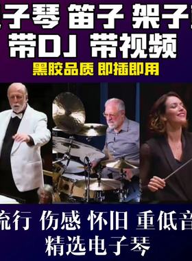 车载电子琴音乐优盘清羽纯音乐电子琴架子鼓重低音dj无损tf卡cd盘