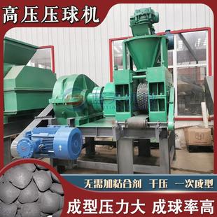 铁沙洗沙压滤泥成型设备 强力氯化铵压球机器 工业盐融雪剂压球机