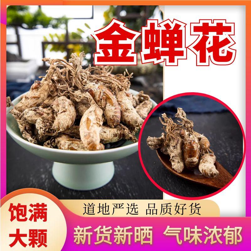 金蝉花野生500g中药材