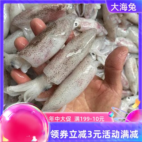 当天海捕新鲜小海兔海鲜水产冷冻小笔管鱼急冻小鱿鱼冰冻小墨鱼仔