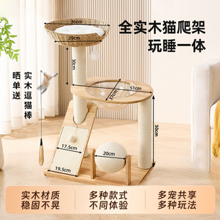 实木猫爬架猫窝猫树一体猫爬架子猫爬柱家用大猫专用猫抓柱猫咪