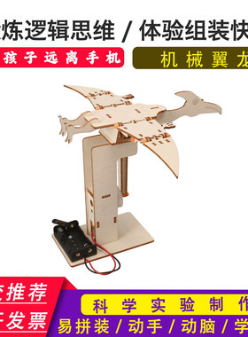 机械翼龙物理益智科学实验科技小制作教育材料包手工DIY拼恐龙
