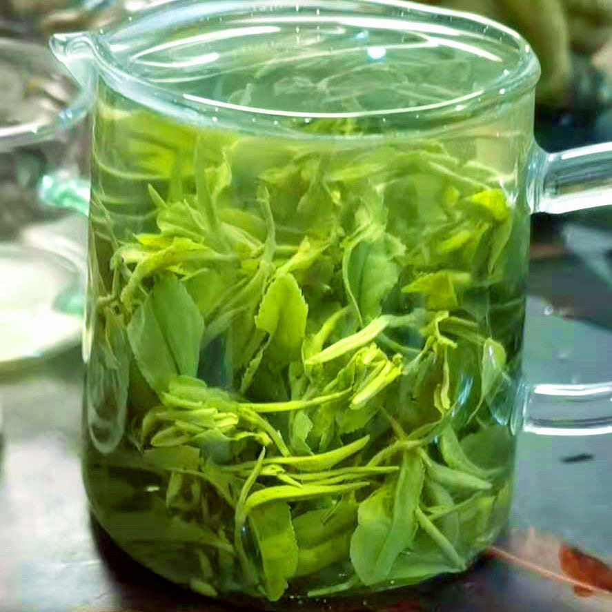 新款新茶特级山东日照绿茶正宗明前绿茶板栗香型茶叶春茶口粮茶