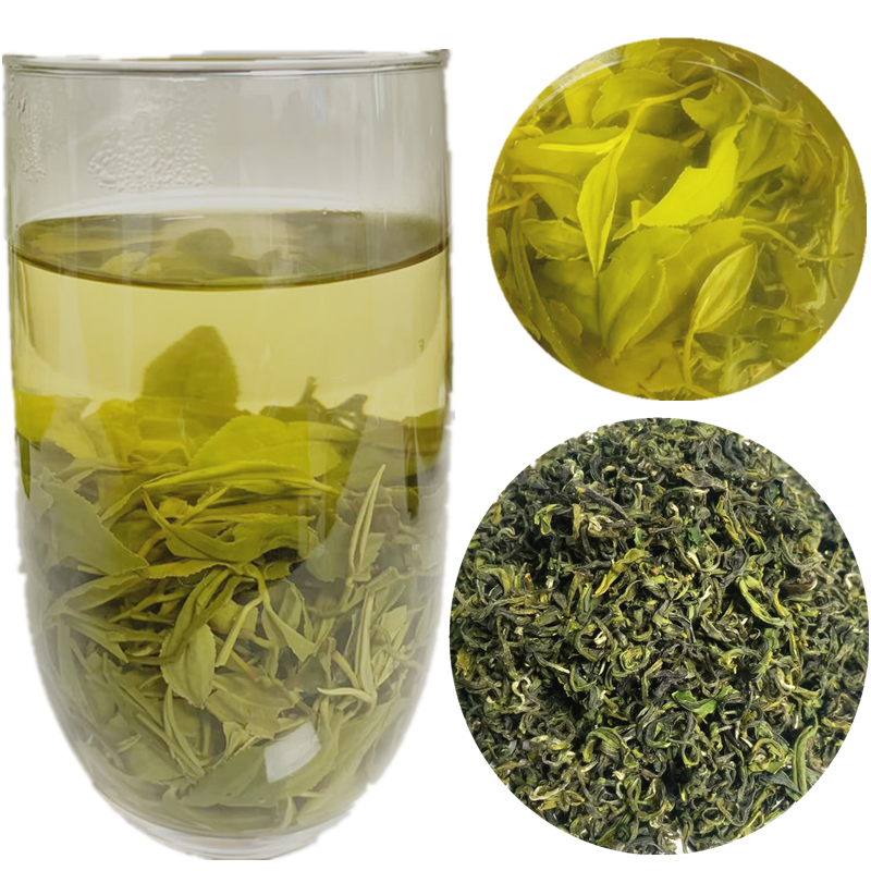 茶叶绿茶浓香型板栗香日照特产正宗日照绿茶高山云雾清香豆香散装