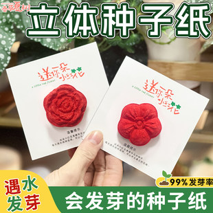 开学季感恩节植树节礼物送你一朵小红花立体种子纸可种植发芽贺卡