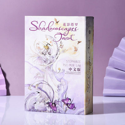 韦特塔罗牌葵花宝典新手套装