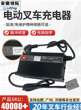 电动叉车搬运车配件DL得龙加液免维护充电器(220V)充电机12V48V