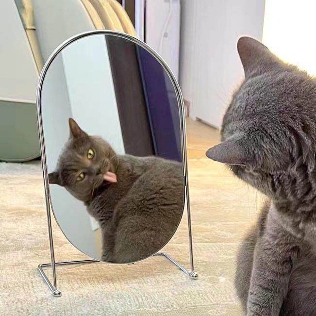 包豪斯中古铁艺银色少女梳妆台化妆镜网红博主桌面摆拍装饰镜,住宅家具,化妆镜,淘宝优惠券,粉丝福利购,淘宝优惠卷