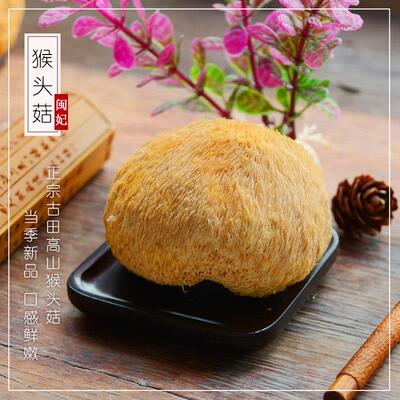 闽猴头头RPK货150g新到货福建飞古干田特产级食用菌山猴菇