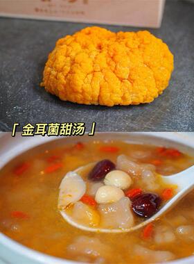 金发耳菌菇货 MEZ高泡无硫熏山珍特产口感南糯胶质足补胶原干云菌