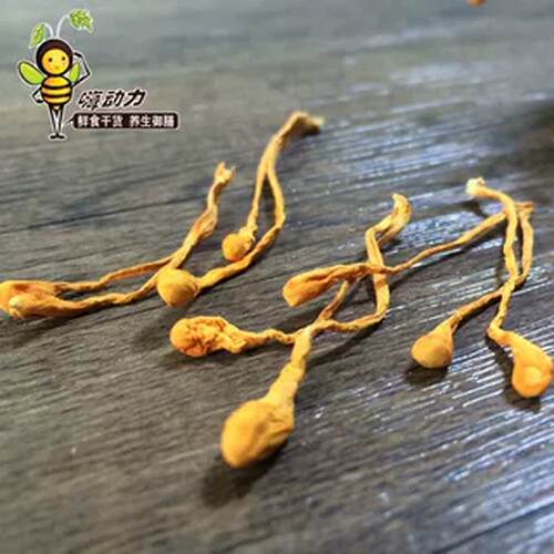 嗨动虫草花正品孢子头虫子体蛹虫草干实DON货北金草力煲汤料250g