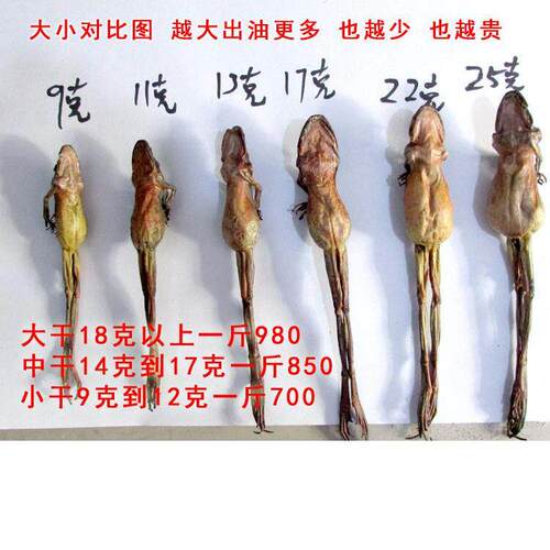 东北整QEY祇林干长油白山雪蛤干13克祇雪蛤蛤蟆油/林蛙油哈蛙什蚂