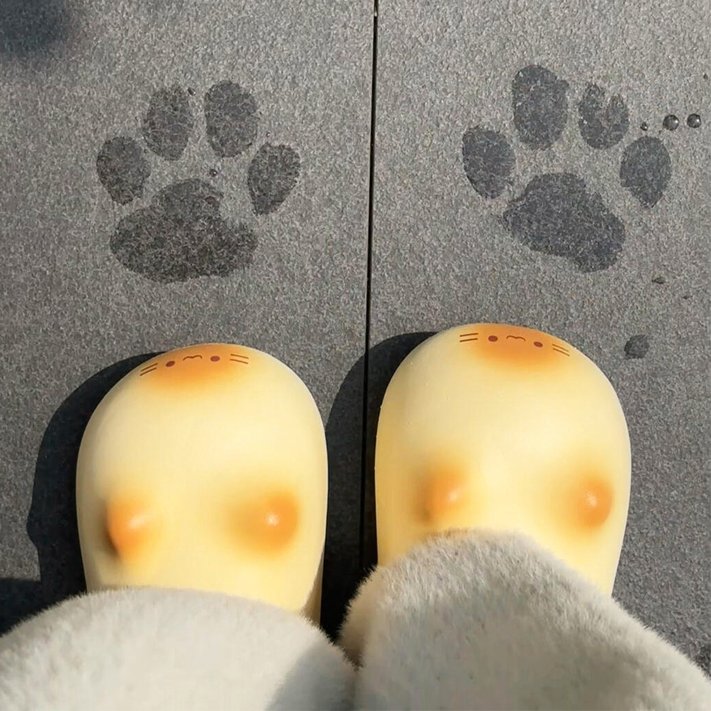 猫爪拖鞋足弓防水棉拖鞋女男秋冬季2026新款加绒保暖情侣居家外出