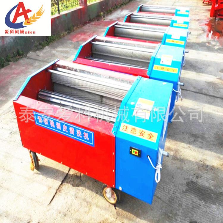 水循环核桃去皮机 青核桃剥皮机 卧式核桃剥壳机去皮清洗机