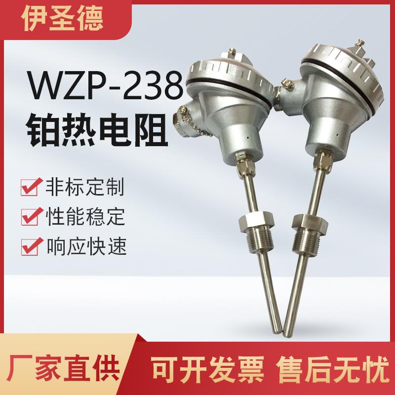 WZP-238铂热电阻 PT100温度传感器 固定螺纹热电偶测温
