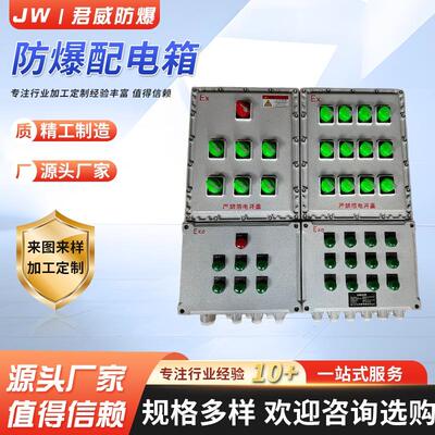 防爆配电箱动力箱定制控制箱照明检修电源插座箱开关电控柜不锈钢
