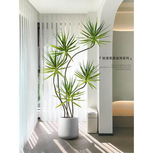 大型玄关电视柜落地摆件龙舌兰轻奢绿植仿真植物盆栽客厅装饰摆件