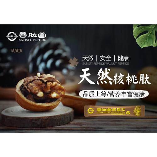 ZHN善肽堂性核桃肽小肽分子活骨原胶蛋白覆合低聚肽神经天肽
