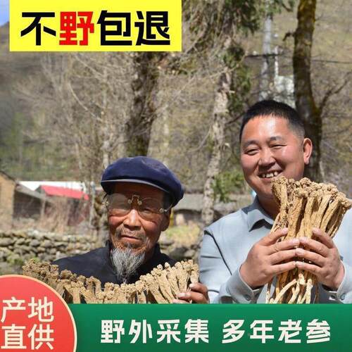 2老泡党参5VUZ0/500g 岷县直供 g无熏硫 传统滋补可正品