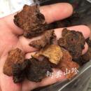 广西金产BSD秀传统滋补品其他家农土 干货食材何首乌两件包干邮25