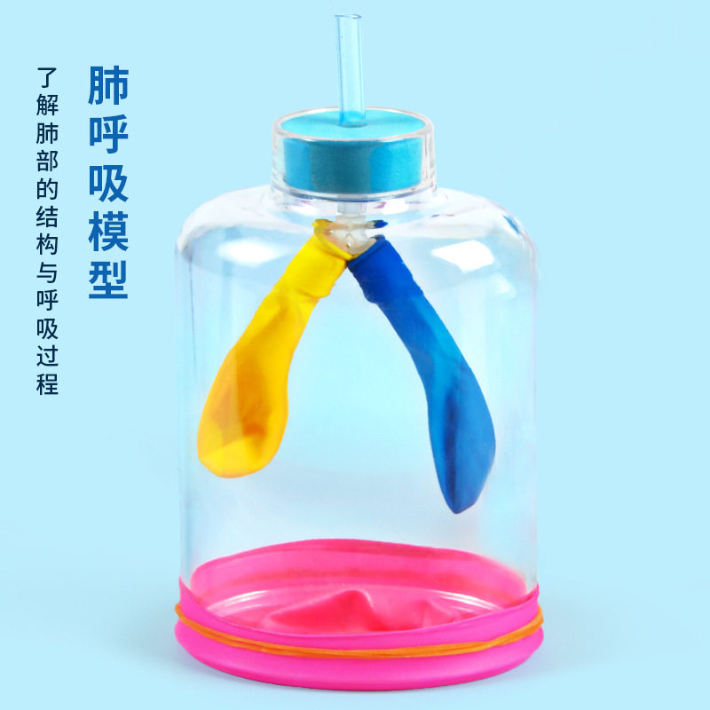科学实验diy肺呼吸模型膈肌运动模拟器小学科技小制作四年级套装