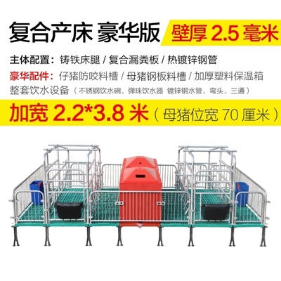 极速新品新母猪产牀双体保育两用定位限位栏O养殖设备复合S板猪用