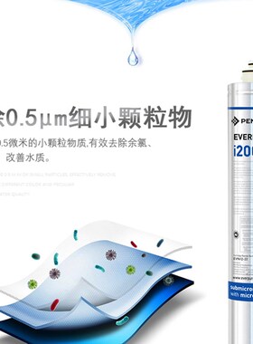 新品爱惠浦净水器制冰机专用I5002 I20002L I40002替换主滤芯大流