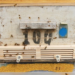 极速花粉喂蜂 养蜂油菜花粉颗粒喂蜂专用杂粉颗粒20R22养蜂饲料50