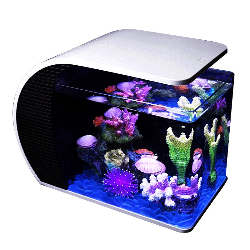新品热带金鱼缸水族箱小型珊瑚套餐鱼缸玻L璃造景静音生态真水草